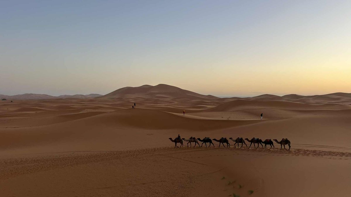 This week at Faarkihopeitsnottoolate.com is Recommendation Week, featuring a travel tip from my daughter in the Sahara.