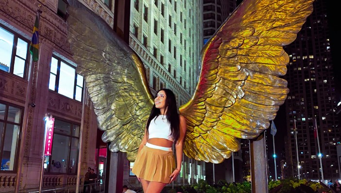 Golden heroine wings