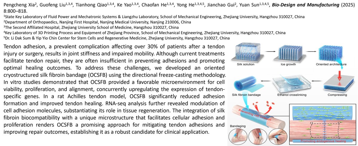 BioDesignManuf's tweet image. Silk fibroin bandage for preventing tendon adhesions

Learn more: doi.org/10.1631/bdm.24…

@ZJU_China @NJU1902