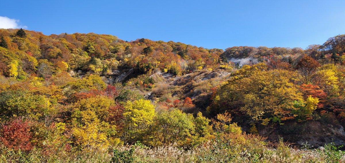 pu_pu_xd's tweet photo. 紅葉終わりかけの滝ノ上園地からの
真っ盛りぽい玄武洞からの岩手山！
最近クマが現れたエリアなので若干キョドりながら歩いた🧸 https://t.co/fCbzIENNPb