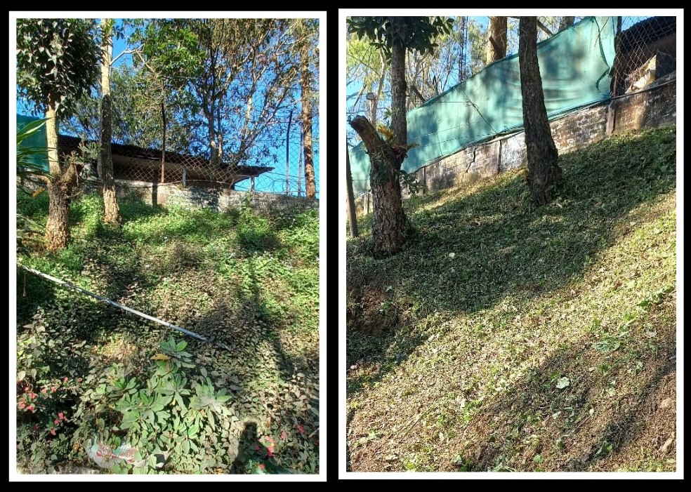 #SpecialCampaign5_0 Conducted at A-block area of DIG OPS Kohima on 27-10-2025
<a href="/crpfindia/">🇮🇳CRPF🇮🇳</a> 
<a href="/HMOIndia/">गृहमंत्री कार्यालय, HMO India</a>
<a href="/PIBHomeAffairs/">PIB - Ministry of Home Affairs</a>
<a href="/PMOIndia/">PMO India</a>
<a href="/DARPG_GoI/">DARPG 🇮🇳</a>