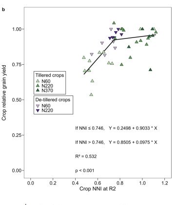 El índice de suficiencia nutricional nitrogenada propuesto por Plenet y Lemaire para cultivos de maíces no macolladores puede ser también utilizado en ultrabajas densidades con presencia de macollos. Otro producto de la RED UBA de MAÍZ ⁦<a href="/AgronomiaUBA/">FAUBA</a>⁩ ⁦<a href="/ifevaok/">IFEVA</a>⁩ ⁦