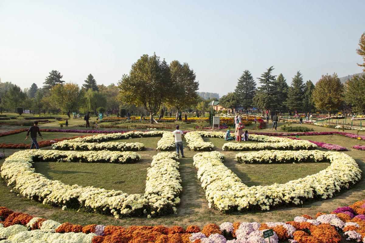 faisalbashirs's tweet image. People stroll through the newly opened Chrysanthemum Garden at the Botanical Garden in Srinagar on Oct 27, 2025. Surrounded by a vibrant display of hundreds of blooming varieties, the garden has begun captivating visitors &amp;amp; nature lovers amid the autumn season. 📷 @faisalbashirs