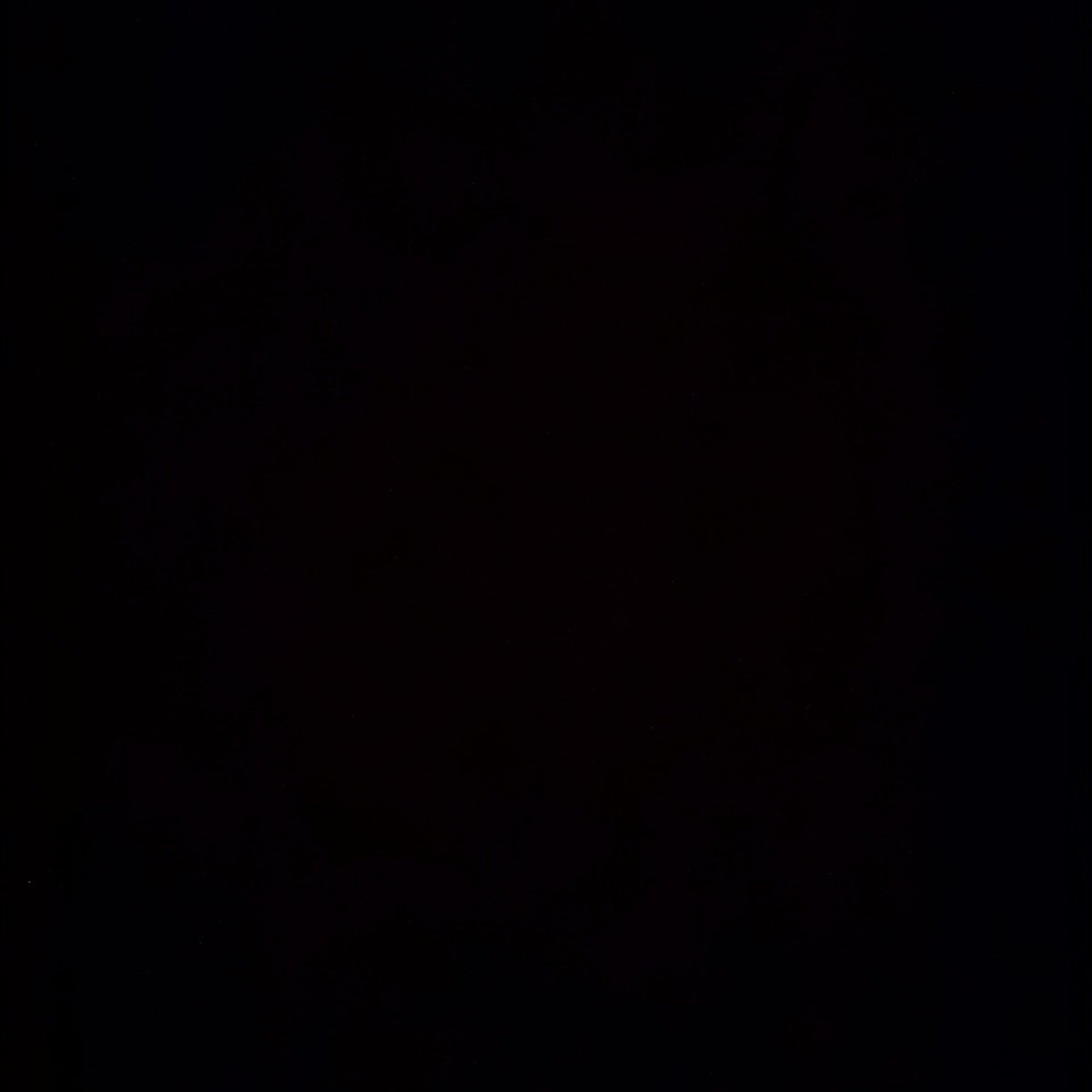 PaidOffScriptz's tweet image. #NewProfilePic