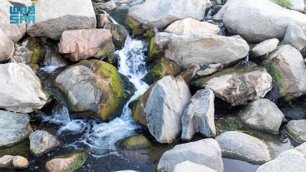 وادي تربة وجهة بيئية وسياحية بمكة المكرمة.
spa.gov.sa/ar/w2429429
#واس