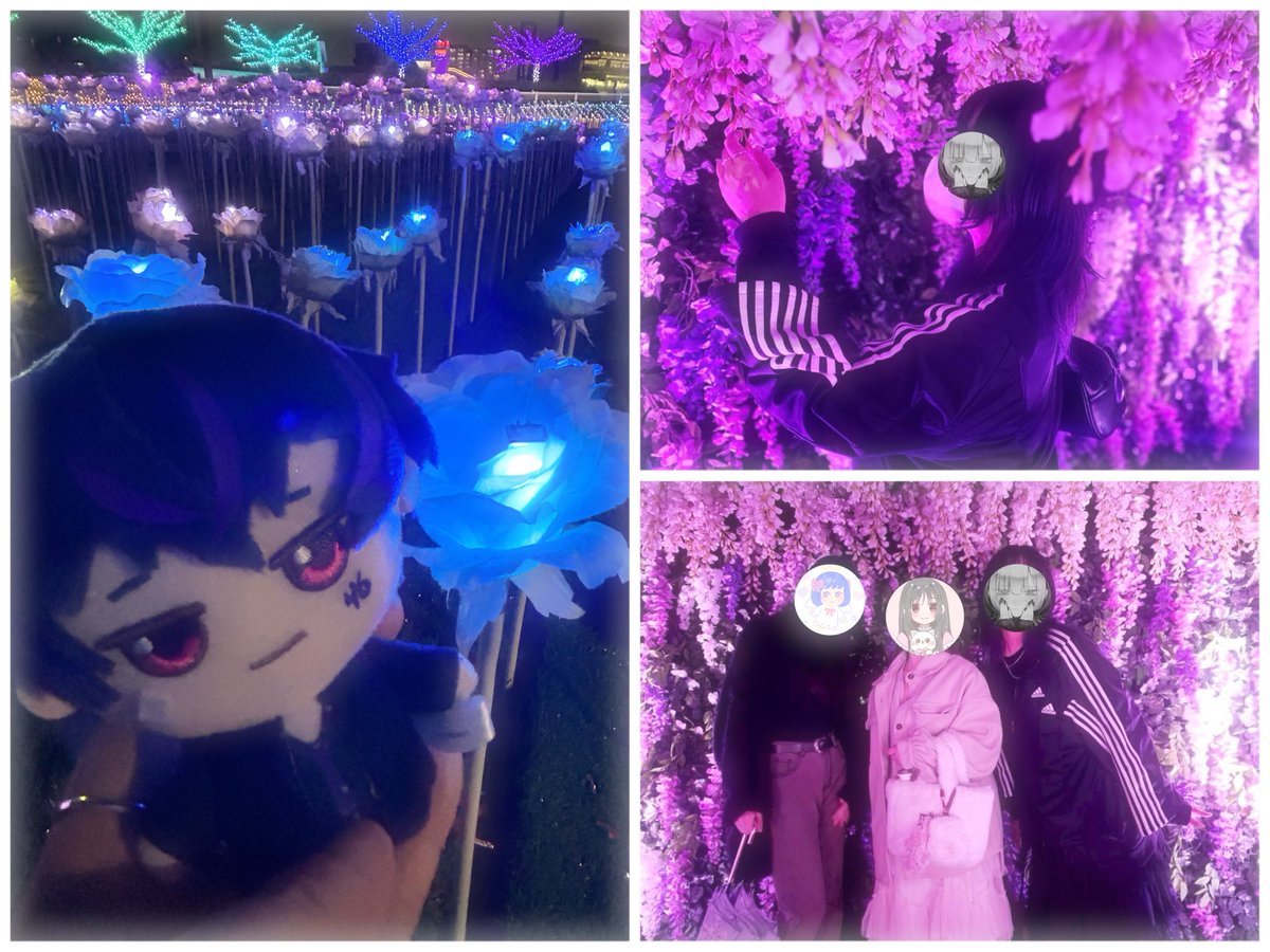 青薔薇としろせんせー
と
天才プロカメラマンおむすびまんに撮ってもらった写真たち。