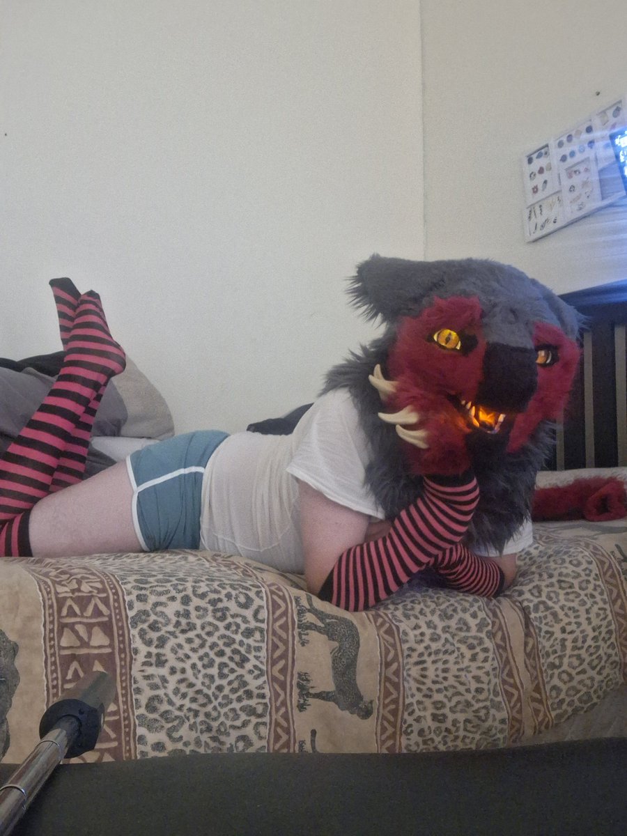 Feel like a femboy today 
#sergal #sergalfursuit #sergalfursuiter #furry #fyp #furrycommunity #furryfandom #sergalfurry
