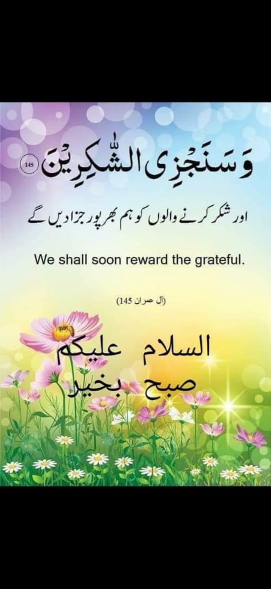 Good Evening my dear friend ❣️