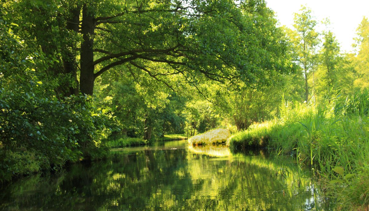 VARAM sabiedriskajai apspriešanai nodod pārskatus par sugu un biotopu stāvokli. Aicinām piedalīties un izteikt savu viedokli! varam.gov.lv/lv/jaunums/var…