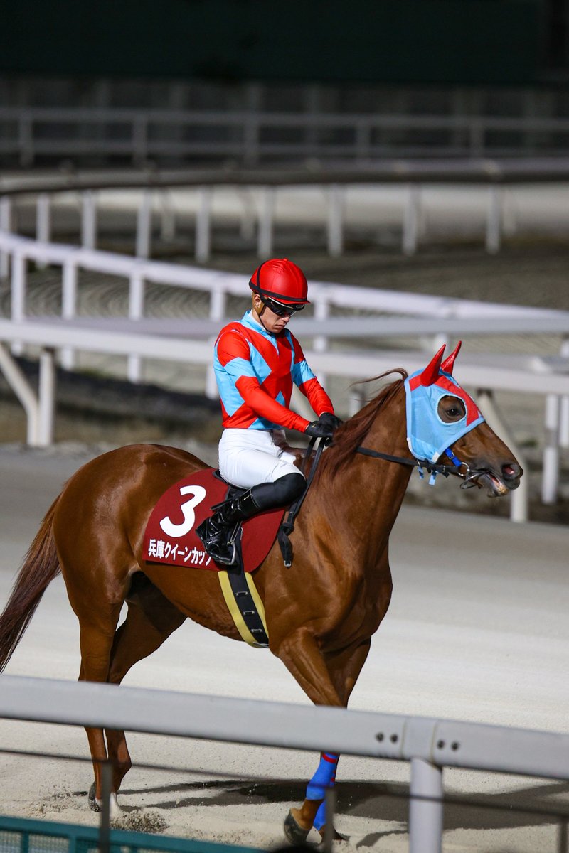 競馬の極み GX・SONIC ミズノ MIZUNO 競泳水着 レディース WA承認モデル