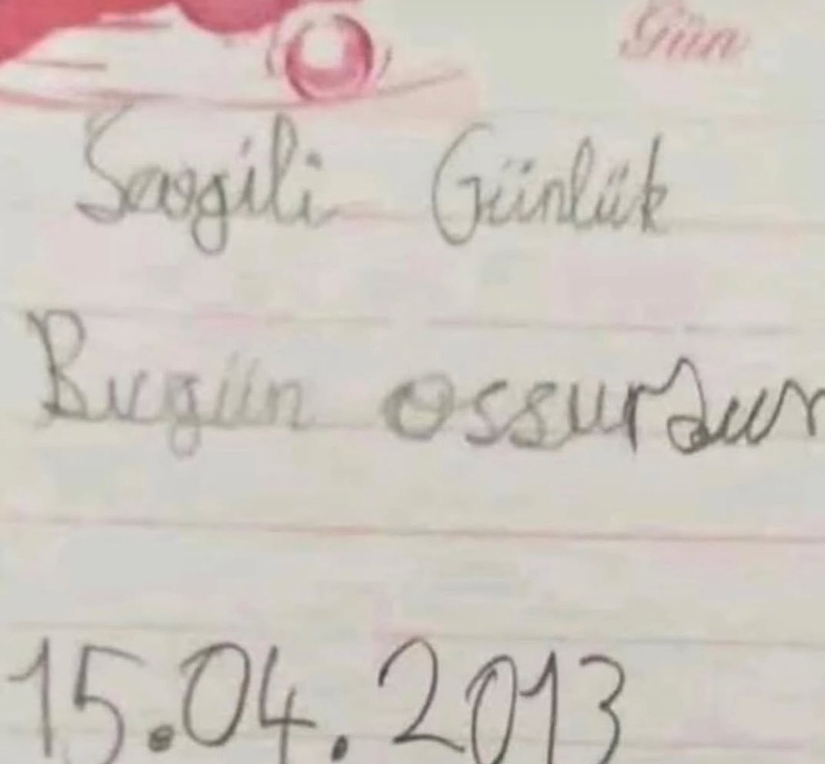 Sadece kardeşimin günlüğüne bakmak istemiştimm