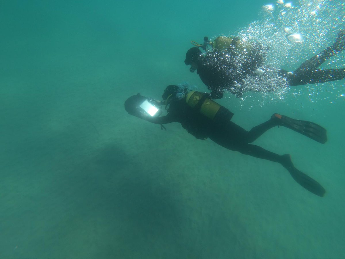 🗓️24-31 Ekim 2025

Nusret-2025 Davet Tatbikatı; Deniz Kuvvetleri Komutanlığı ev sahipliğinde, Çanakkale ve Saros Körfezi’nde, Türk Deniz Kuvvetleri unsurları ile dost ve müttefik ülkelerden unsurların katılımıyla icra ediliyor.⚓🇹🇷

Deniz Kuvvetleri ve katılımcı ülkelerin de