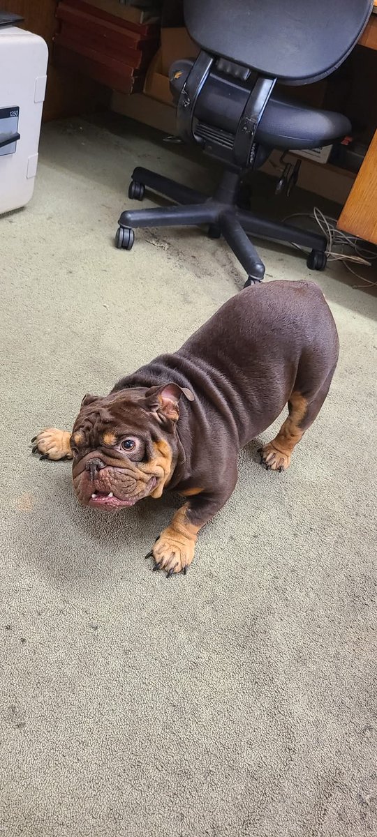 BERRYBIRD.SOL🥝 tweet media