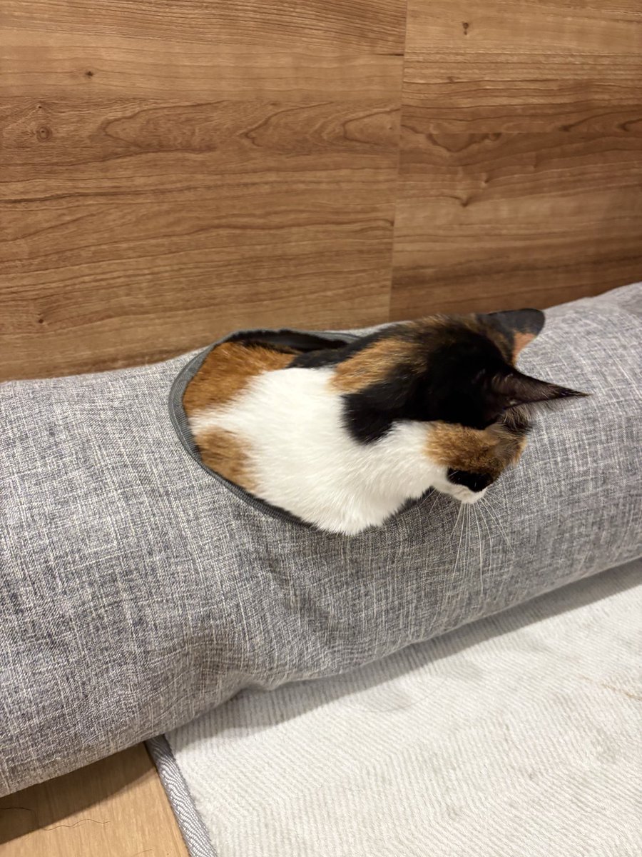 プリケツ⭐︎ Hitachi ZX210-3 4HK1 Isuzu Injectors 8-98284393-0 8-98151837