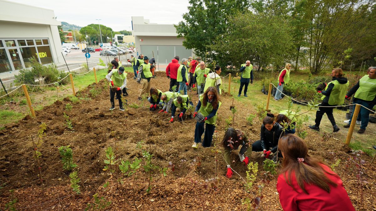 ReteClima's tweet image. 🌳 Nuovo passo #concreto per la tutela del #capitaleNaturale: continua la collaborazione tra #ReteClima e @intesasanpaolo  con la messa a dimora di 1.000 alberi a #Corciano (PG), creando una BioForest®️ per la #biodiversità. Prossima tappa a #Milano!