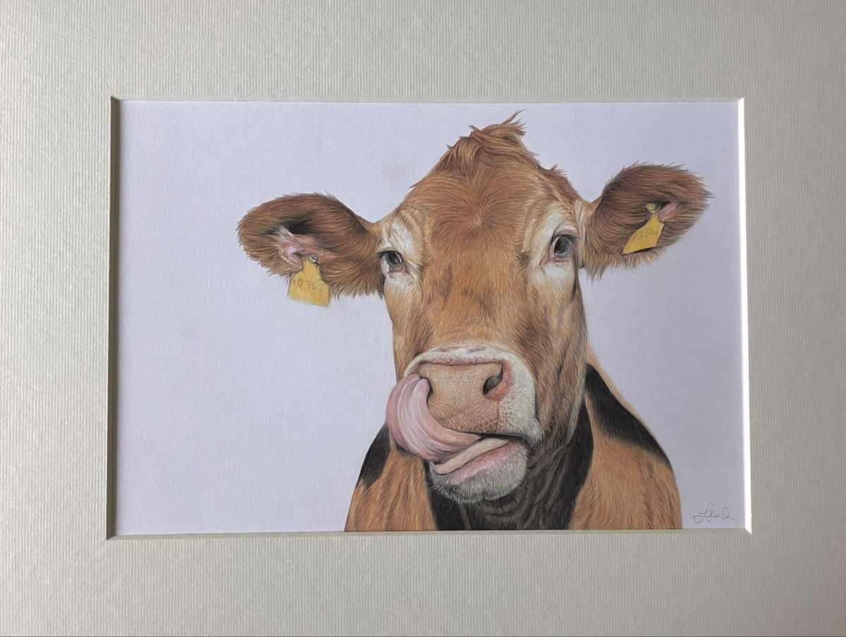 Was £250. Now reduced to £95 - plus tracked p&amp;p to clear, as I have two upcoming osteopath appts again soon which cost a lot of money, especially as I’m not making much at all this year. Original coloured pencil drawing in a 16 x 12” mount. Message if interested. Thanks. #art