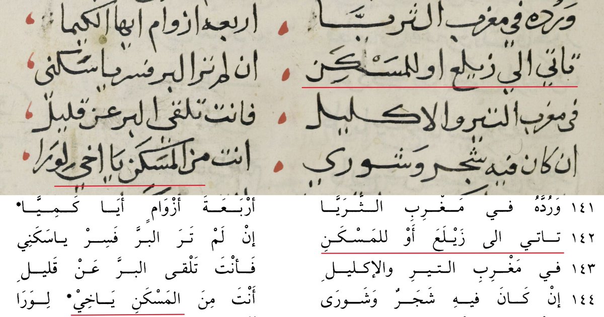 البـربـراوي tweet media