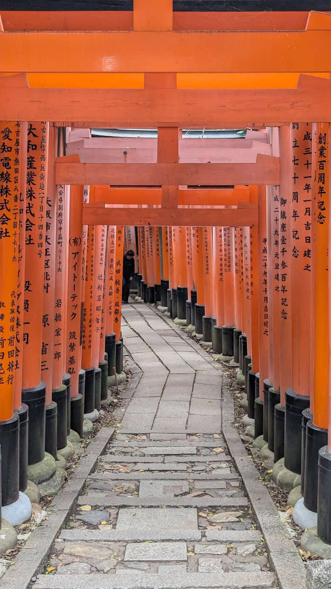 GM! I finally saw the famous red archways! 

Pro tip for the Inari trail: do the hike! Not as many people do, and you can easily find some picture spots in the tori-gate tunnel without any people.a

Stay near the bottom = touristy hell