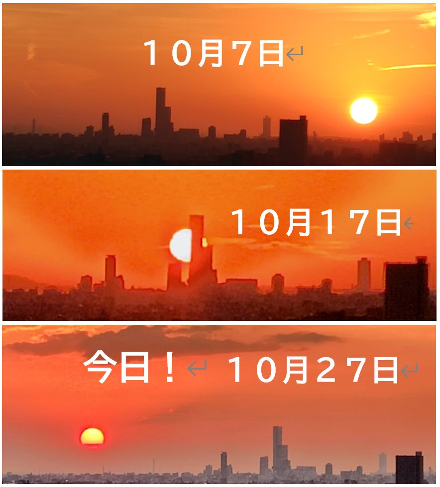 ✴︎maa.様✴︎専用ページ MA*RS】【さきまるちゃんコラボ】リボンベルトショートコート