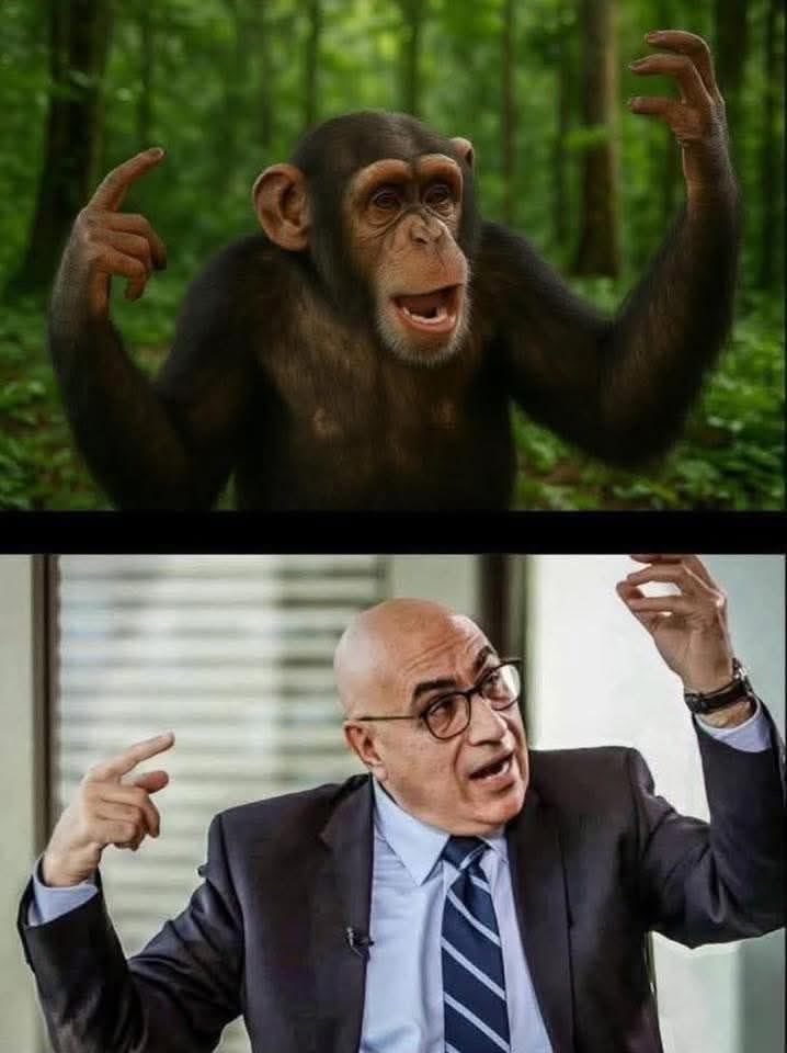 Tinkerbell24825's tweet photo. @charlesjabbour اوك🦧🦧🦧 https://t.co/nxbk7mzue4