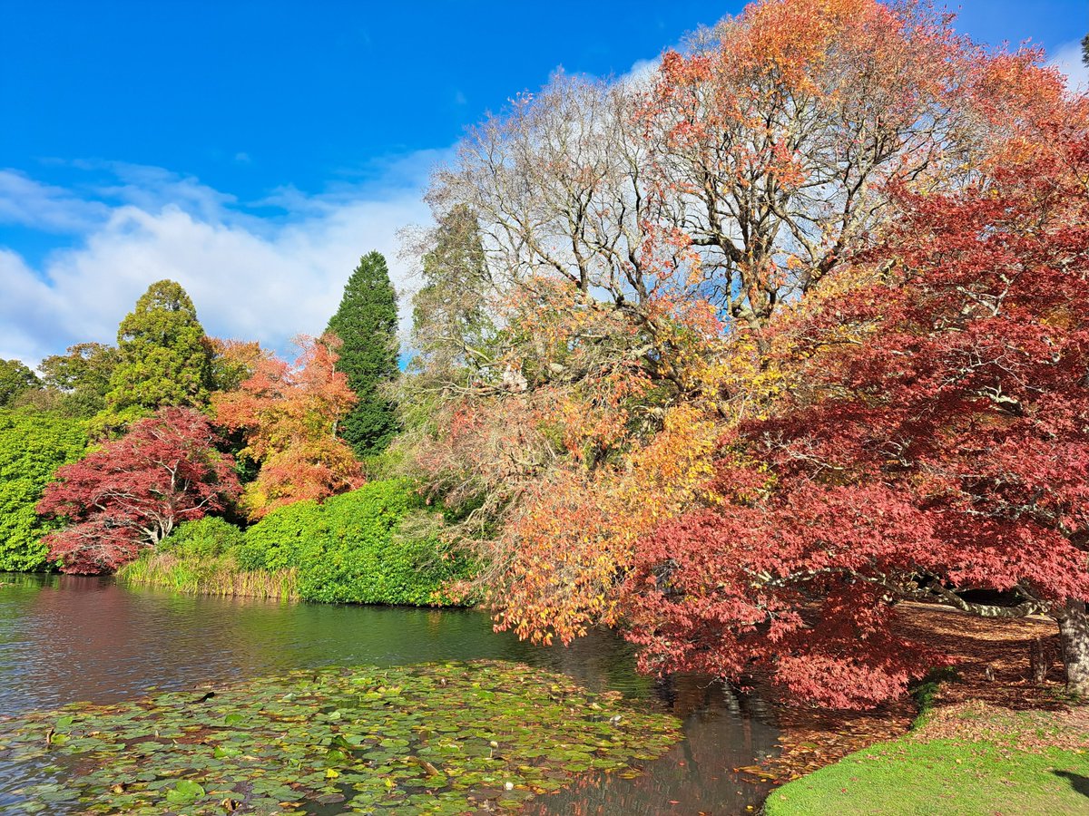 .<a href="/sheffieldparkNT/">Sheffield Park and Garden, National Trust</a> looking absolutely sparkling yesterday. #autumn #nature #sundayvibes