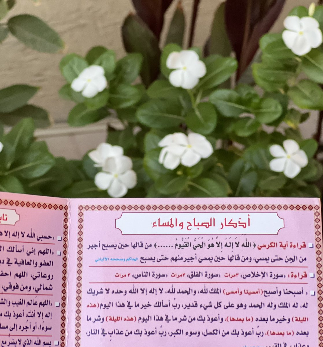 "أذكار المساء: خير ما تبدأ فيه ليلتك لا تتركها، فهي من هدي النبي ﷺ، وزاد يومك، وسلاحك الخفي في وجه التقلبات".