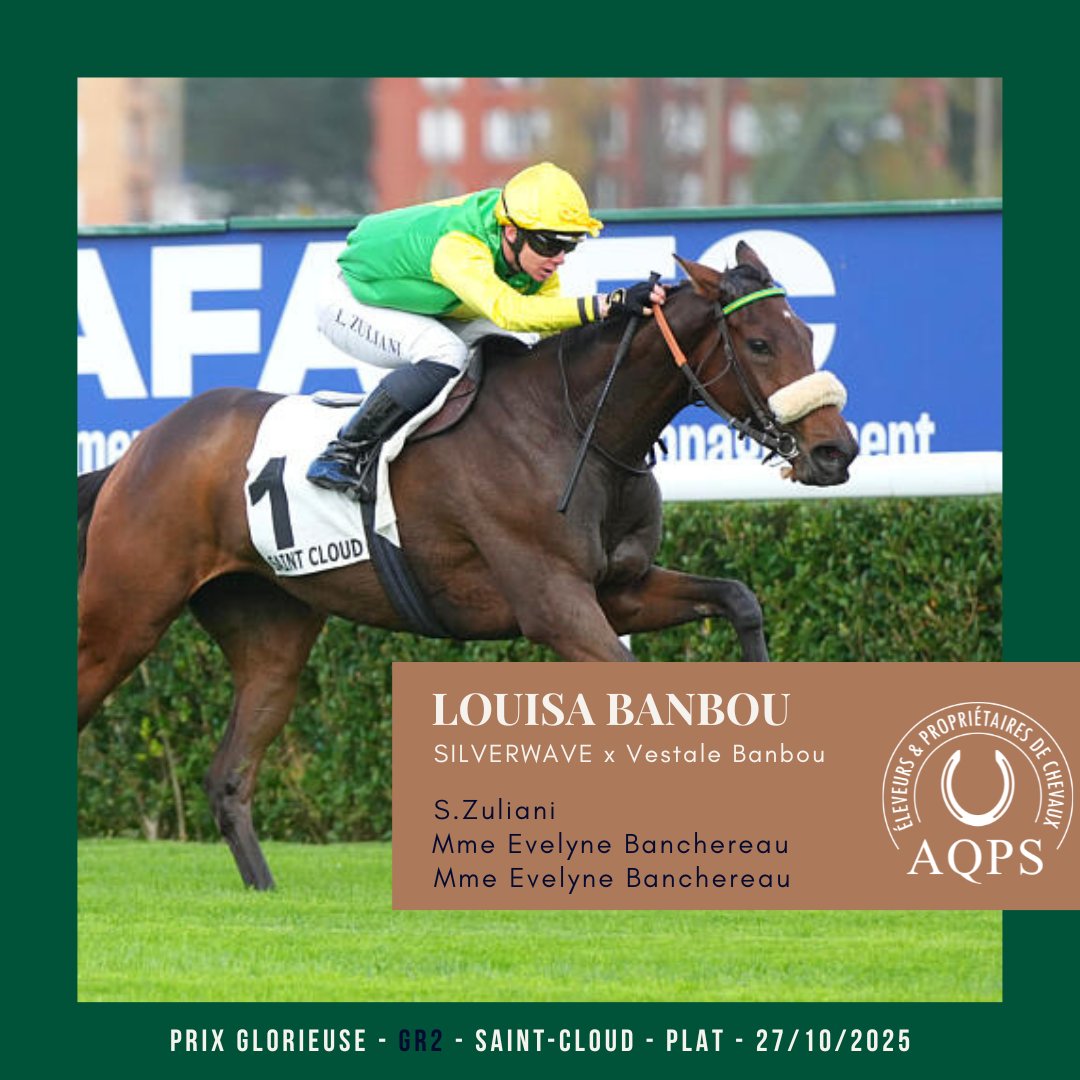 AQPS thefrenchchaser tweet media