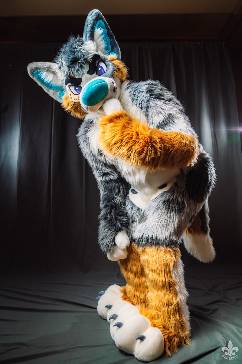 foxeuphoria's tweet image. ✨ Just a little Monday mischief ✨ 

Feeling a little sassy this #MixedCandyMonday!

🪡: @mixedcandy 
📸: @SchecterWolfe