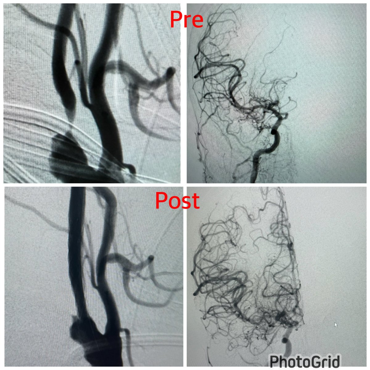 AlAli Meshari , MD د.مشاري العلي tweet media