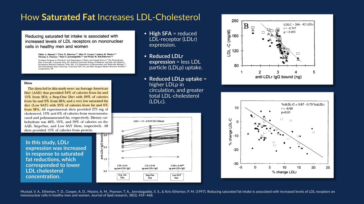 Dr Gary McGowan tweet media