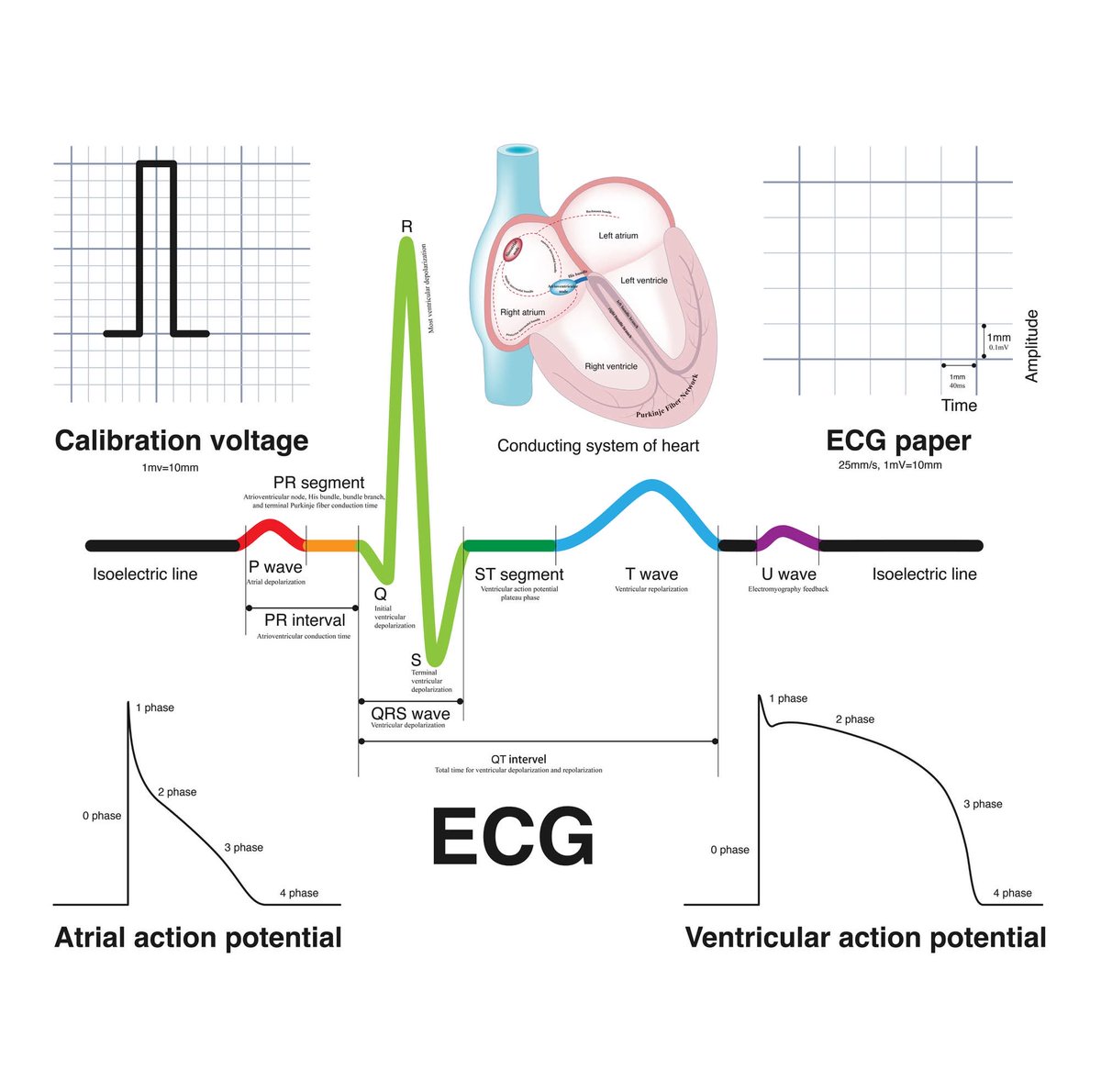 Docma29's tweet image. 