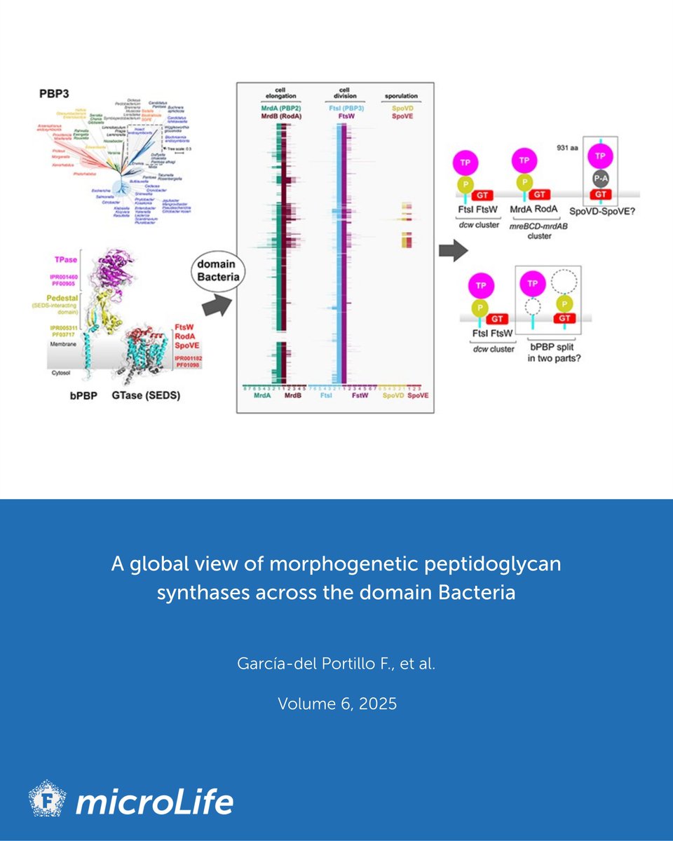 microLife tweet media