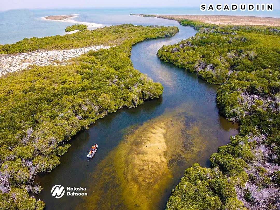 البـربـراوي tweet media