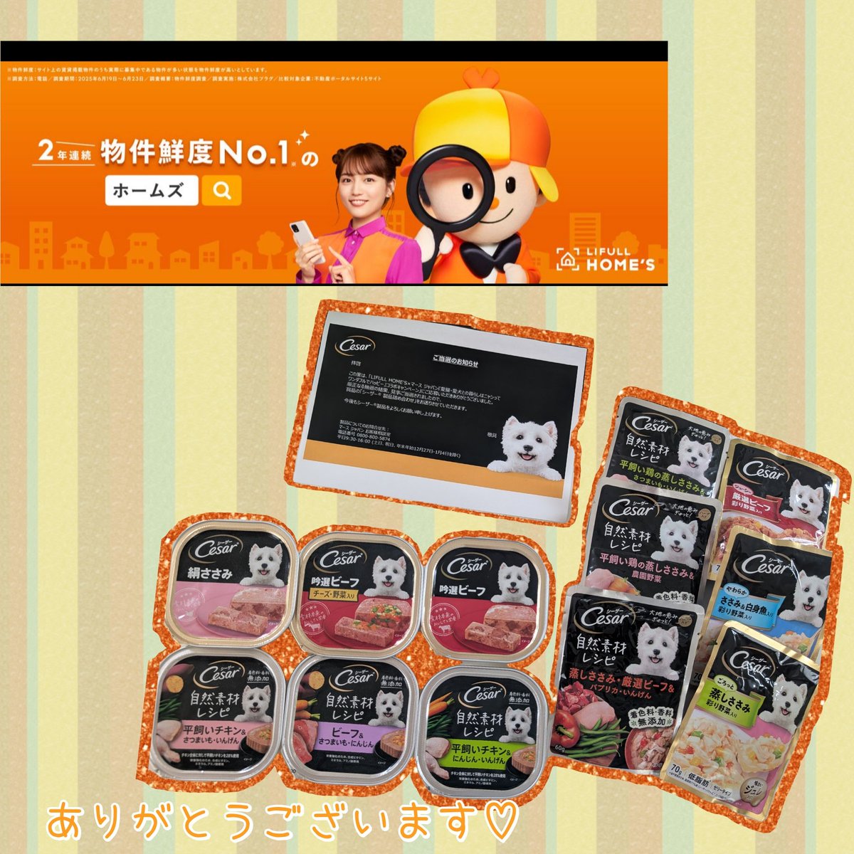 夢100 エイプリルフールキャンペーン 当選品 学生証 夢100 エイプリルフールキャンペーン 当選品 学生証 夢100 エイプリル