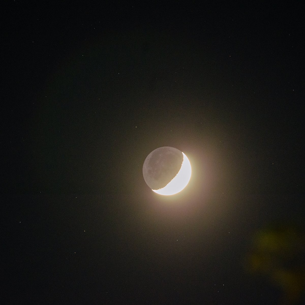 月曜の夜。帰り道のお供に、久しぶりに月がついてきてくれました。しばらく見ない間に、もう上弦が近くなっています。
しばらく内緒話をしていたのですが、聞いてくれたかなぁ。