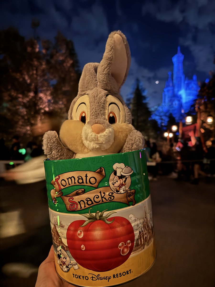 doko_mama's tweet photo. とんすけ in Wonderland

 #とんすけ
 #とんすけ
 #とんすけ https://t.co/SiiGMyARcN