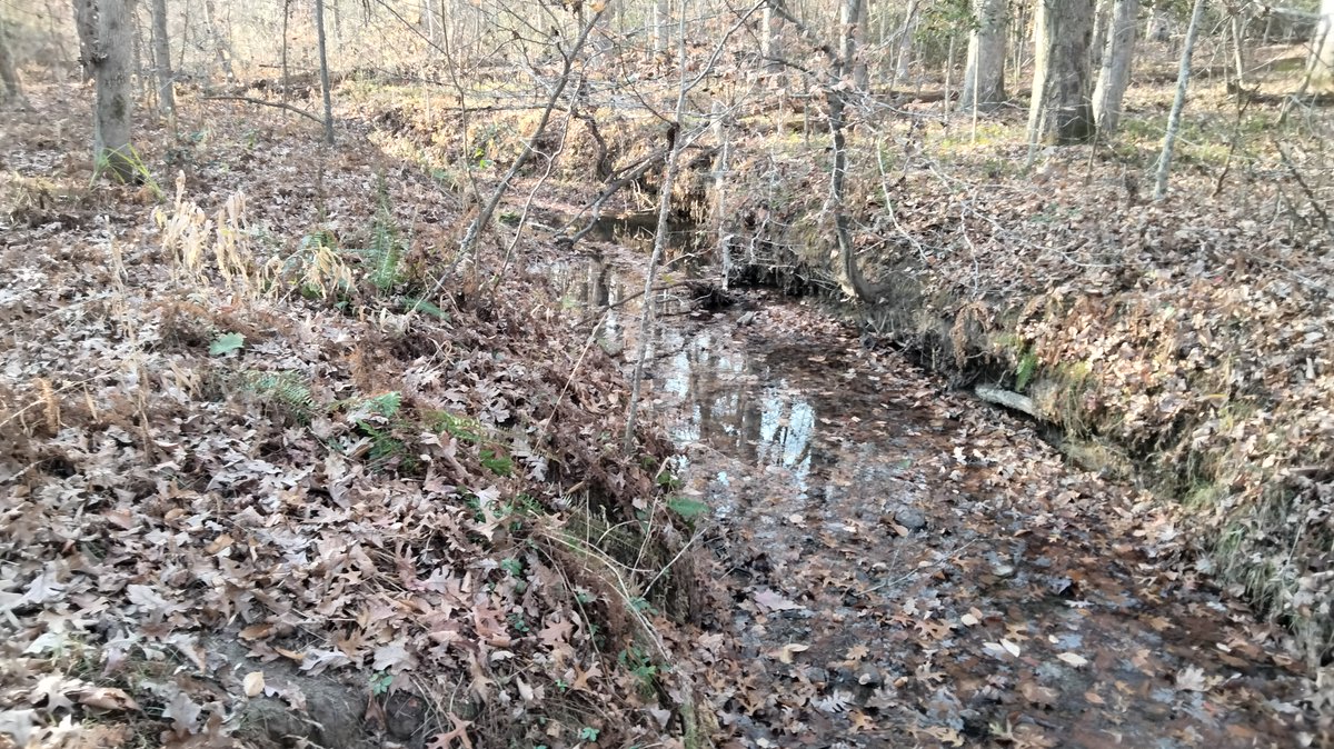 WE NEED YOU! Without our members’ support, we would not have been able to preserve nearly 2,000 acres of battlefield land in what has been and continues to be a fast-moving, high-demand real estate market. Join us and help make a differnece.  cvbt.org/support-us/