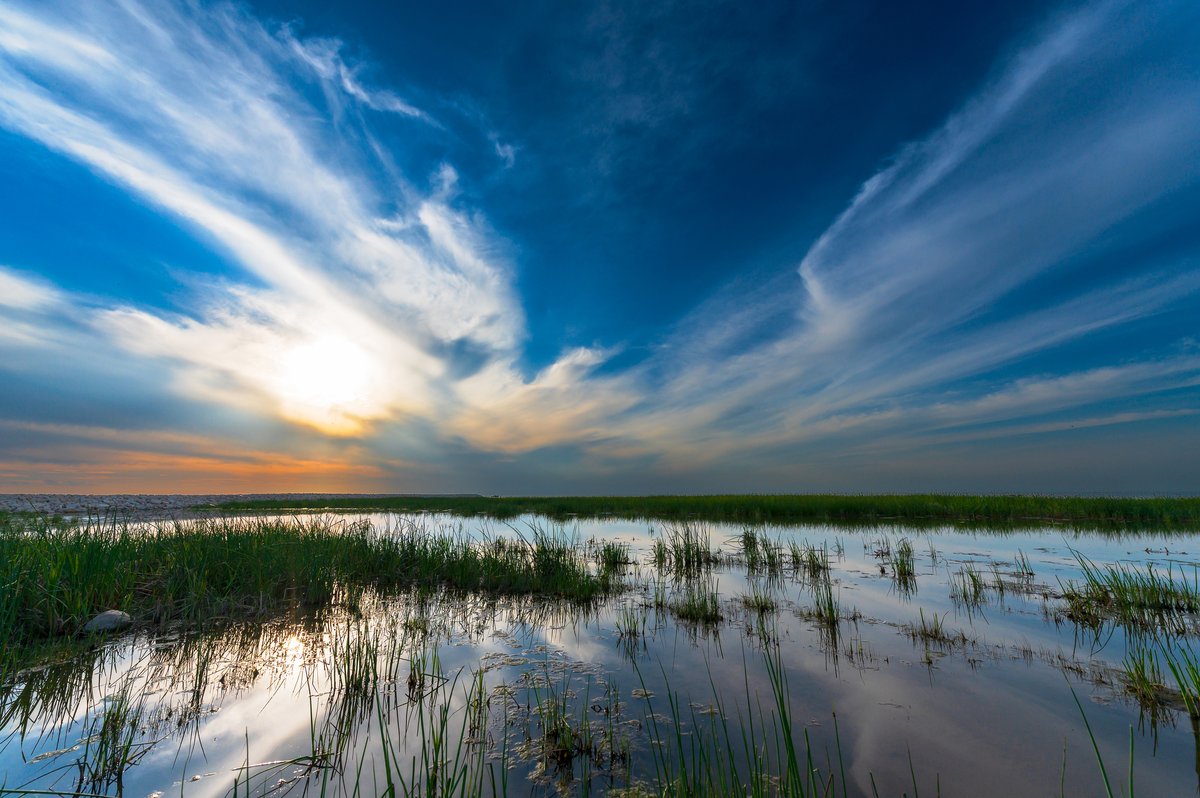📊 We are supporting data-sharing and community engagement!

Funding to the Lake Winnipeg Research Consortium will help to expand water data access and support research with Poplar River First Nation: ow.ly/M4re50Xgsvi