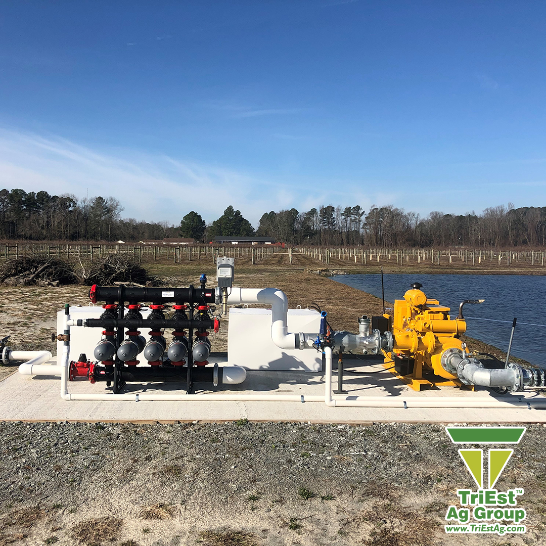 TriEst_Ag's tweet image. Quality filtration is key to irrigation efficiency. The right filter system keeps emitters clear, prevents clogs, and ensures uniform water flow for healthier crops and consistent yields.

Learn more: 🔗 triestag.com

#IrrigationSolutions #FiltrationSystems