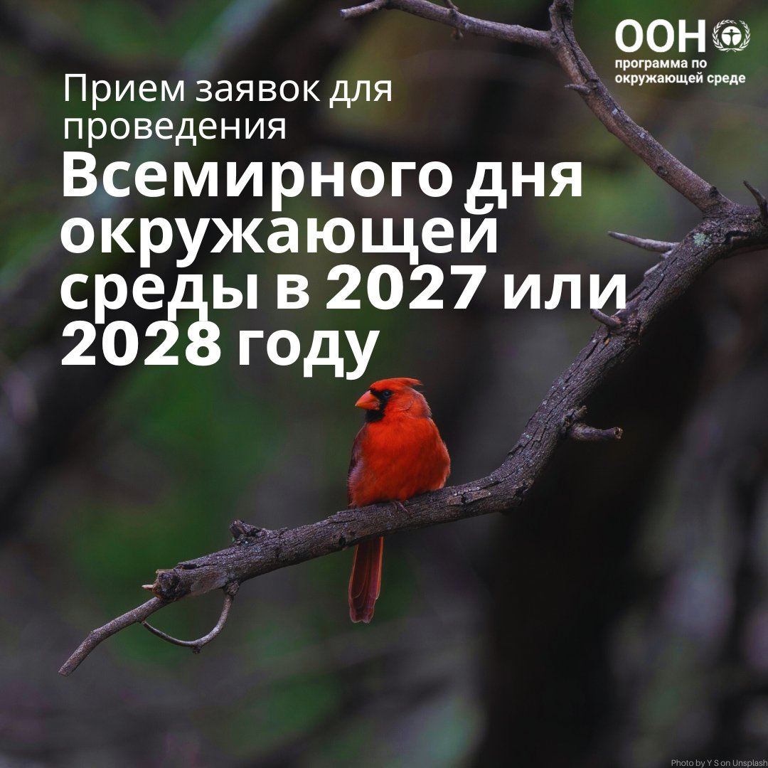 ЮНЕП приглашает государства-члены выразить заинтересованность в проведении глобального празднования #ВсемирныйДеньОкружающейСреды в 2027 или 2028 году.

Дедлайн: 31 декабря 2025 г.

Подробнее: worldenvironmentday.global/2026/latest/be…