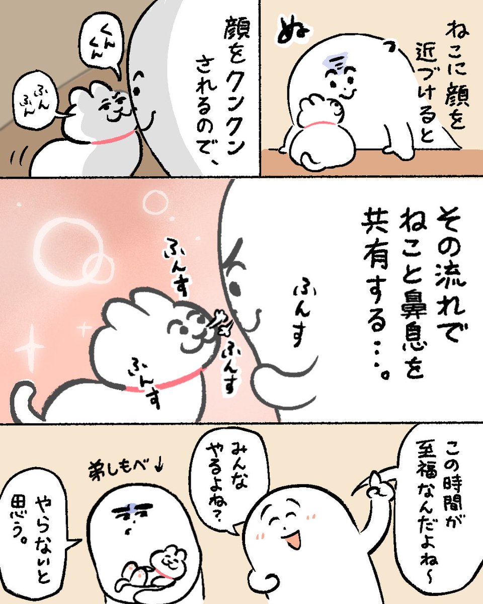 ねことしもべ (@nekotoshimobe) / Posts / X