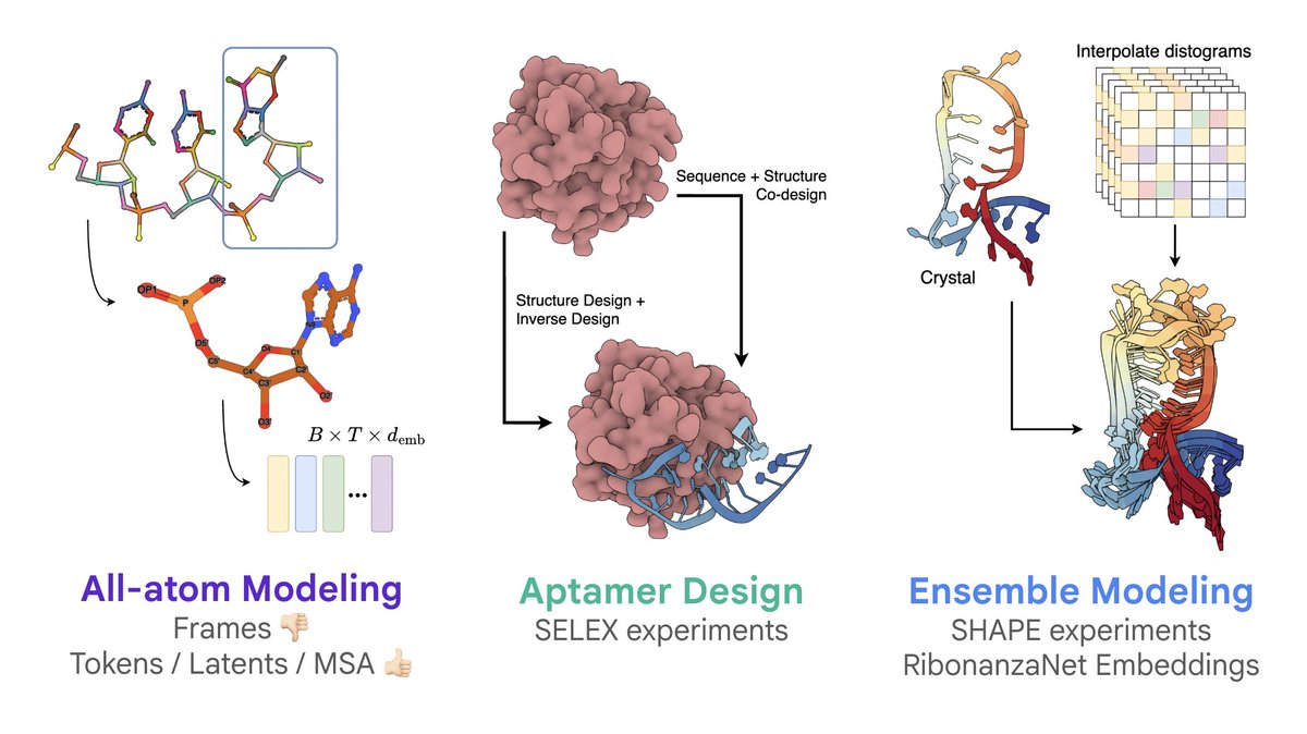 rishabh16_'s tweet image. Recently gave a talk at @FlagshipPioneer on how far we&apos;ve come in AI methods for RNA design, and where the field is potentially heading. Shared a similar (shorter) version with Rhiju Das&apos; group at Stanford BioE this summer. Lots of fun convos thereafter 🤔

The talk contains some…