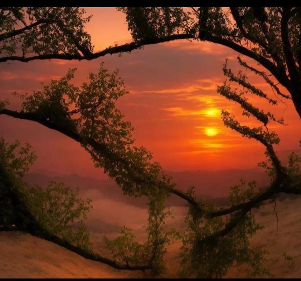 شروق ولا غروب