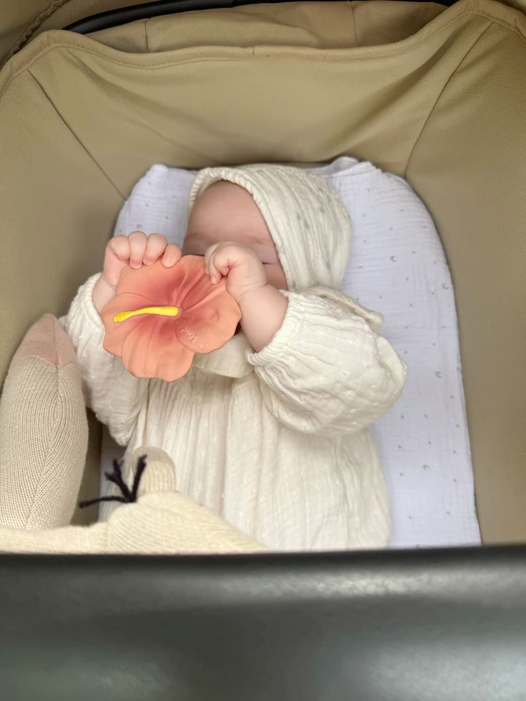muteallimeniz's tweet photo. önce maşallah,sonra inşallah 🌷 https://t.co/4pGZ7ZnTrj
