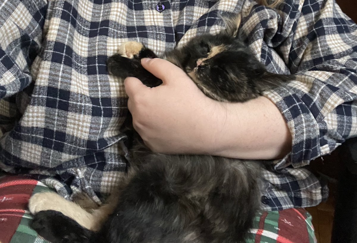 Зайчик слухає урок