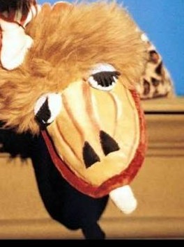 WilliamFGaines's tweet image. She is a #sockpuppet