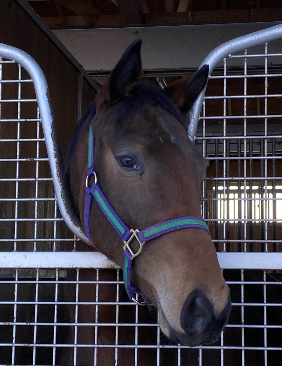 まめちゃん。 まめちゃん。