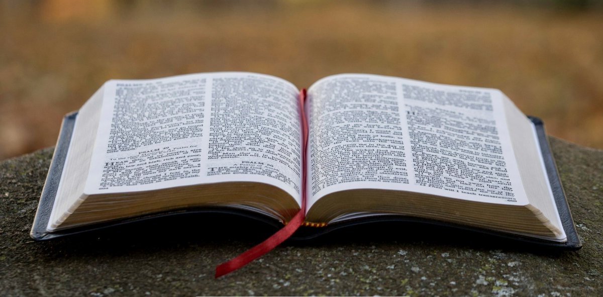 TUC0Wright's tweet photo. “Do not be conformed to this world, but be transformed by the renewal of your mind.” — Romans 12:2 Start your day with Scripture before you start scrolling.
#AwakeAmerica #AwakeDC https://t.co/G2lmpKdZmm