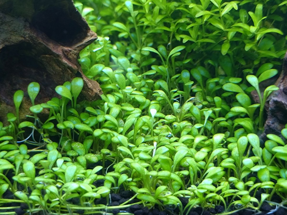 まさ@某ブログ管理人 on X