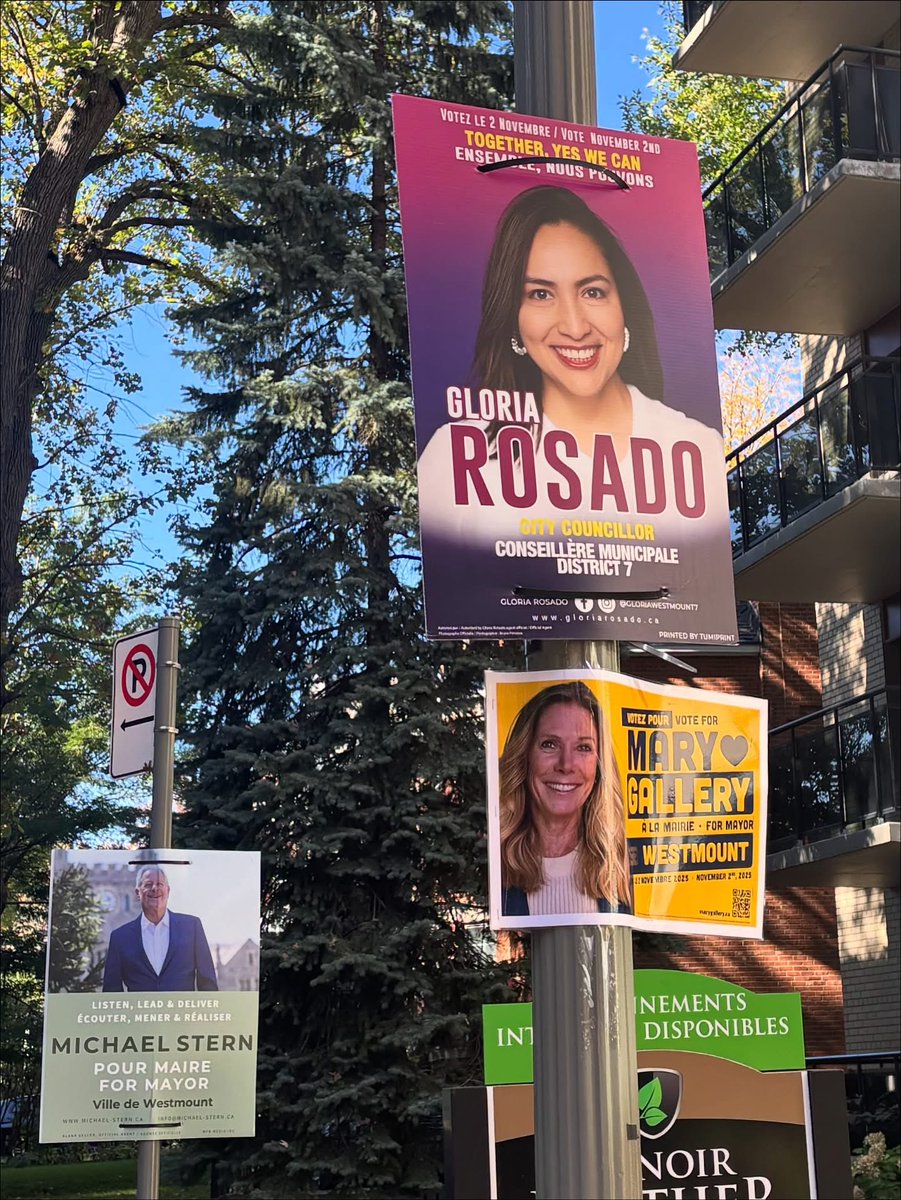 50mas1internacional tweet media